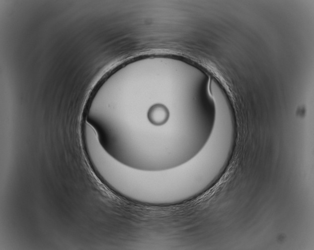 X0000099931181200806201050