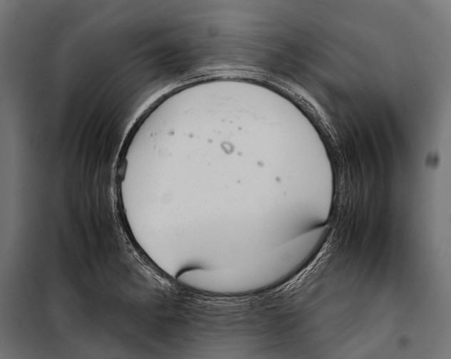 X0000099931182200806201050