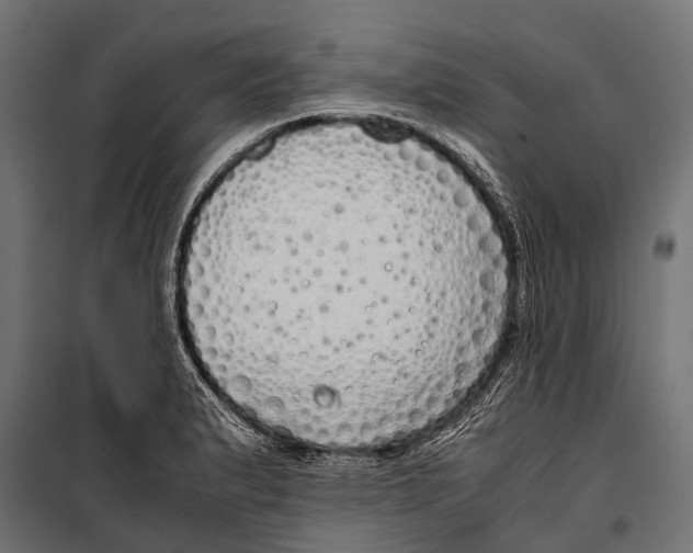 X0000099931183200806201050