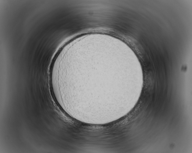 X0000099931184200806201050