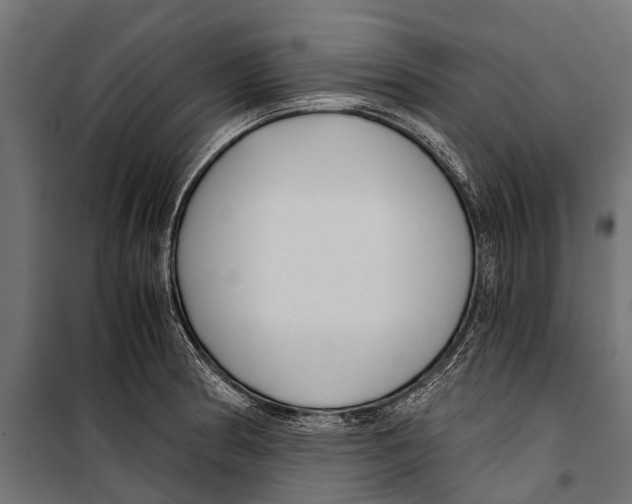 X0000099931186200806201050