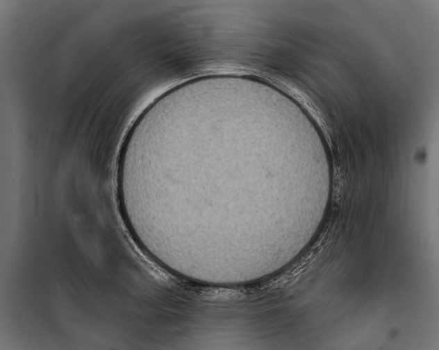 X0000099931187200806201050