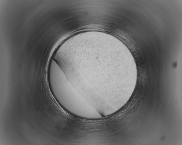 X0000099931188200806201050