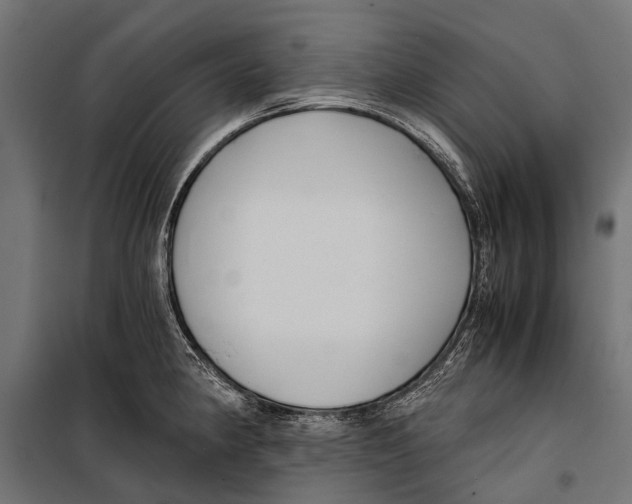 X0000099931190200806201050