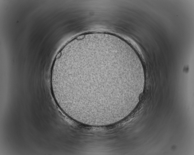 X0000099931191200806201049