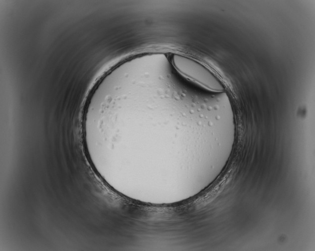 X0000099931192200806201049