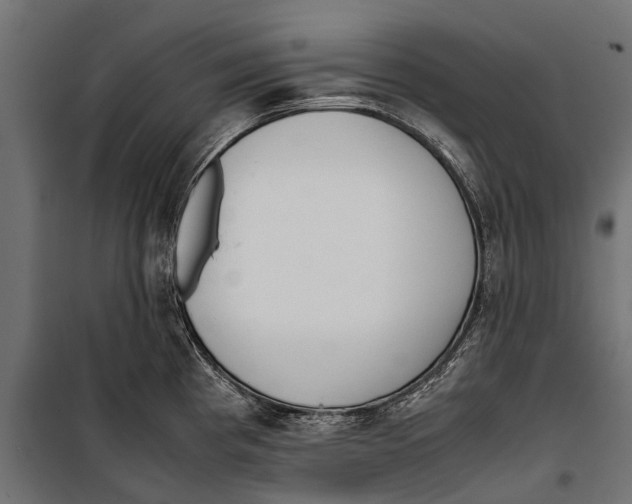 X0000099931193200806201049