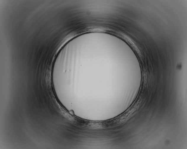 X0000099931194200806201049