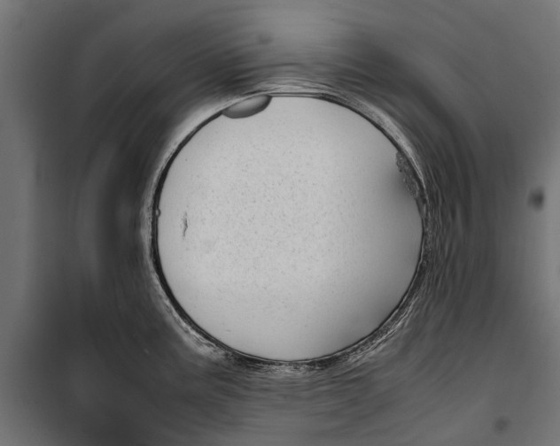 X0000099931195200806201049