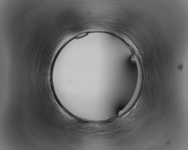 X0000099931197200806201049