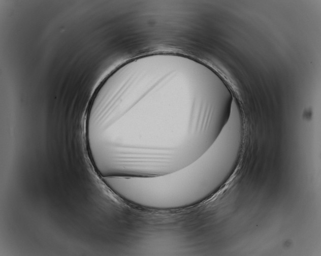 X0000099931198200806201049