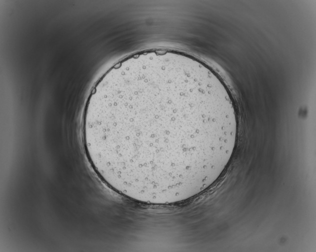 X0000099931199200806201049