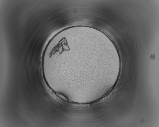 X0000099931200200806201049