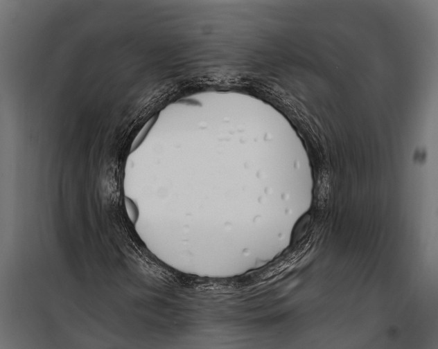 X0000099931202200806201048