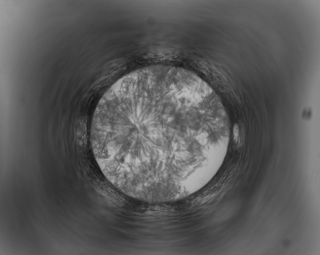 X0000099931203200806201048