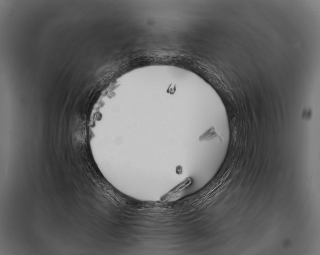 X0000099931204200806201048