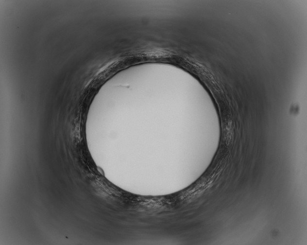 X0000099931205200806201048