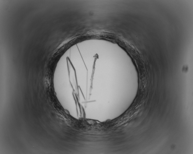 X0000099931206200806201048