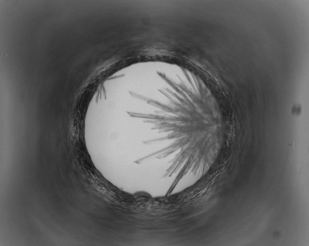 X0000099931207200806201048