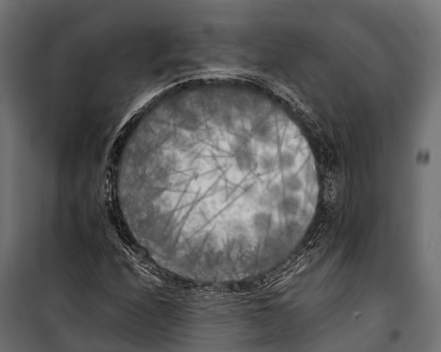 X0000099931208200806201048