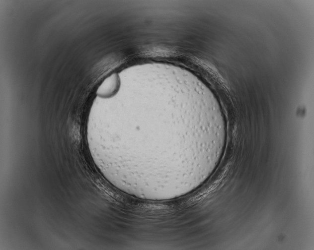 X0000099931209200806201048