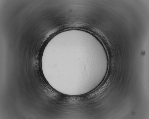 X0000099931210200806201048