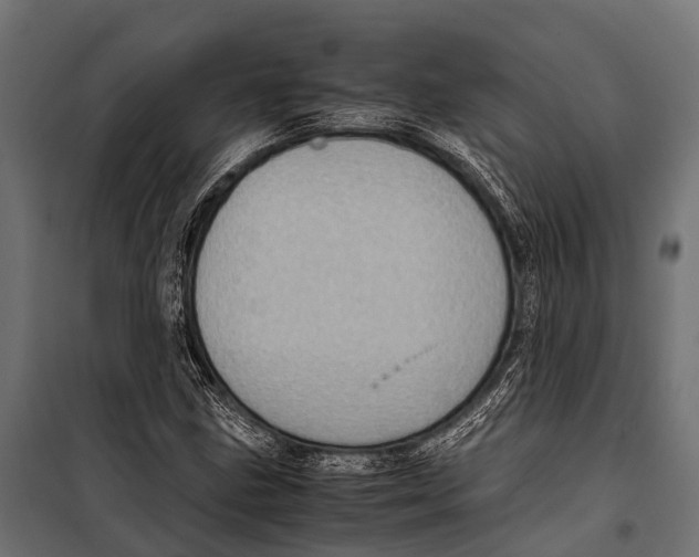 X0000099931211200806201048