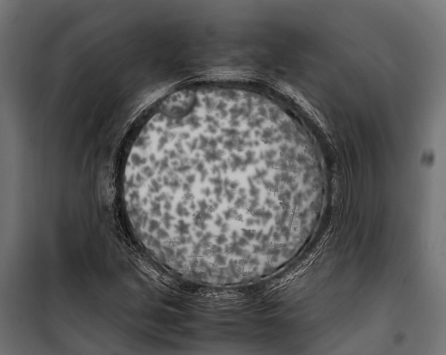 X0000099931213200806201049