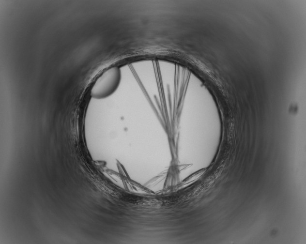 X0000099931214200806201049