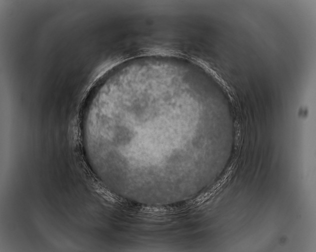 X0000099931215200806201049