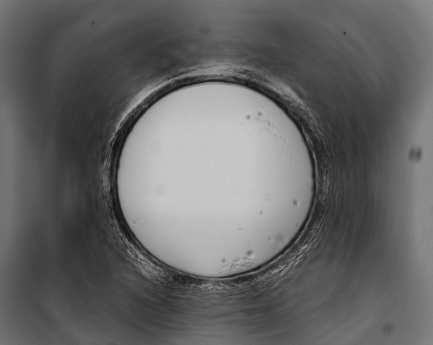 X0000099931216200806201049