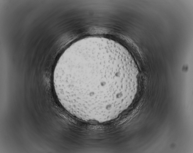 X0000099931217200806201049