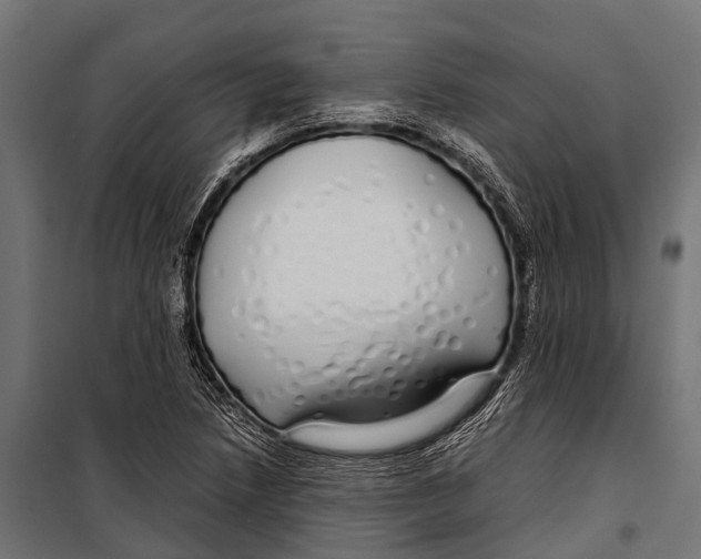 X0000099931218200806201049