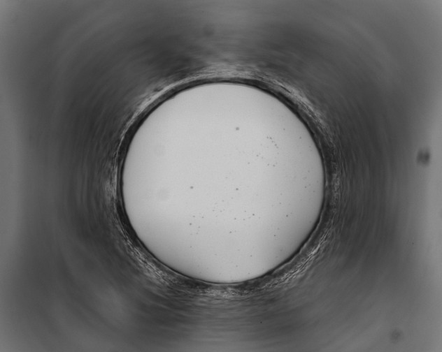 X0000099931220200806201049