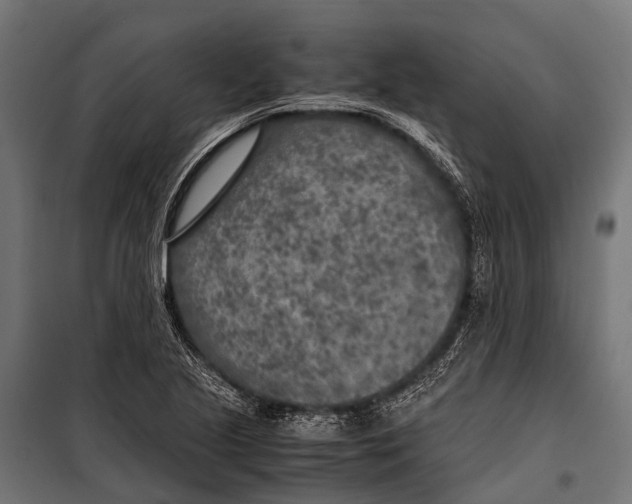 X0000099931221200806201049