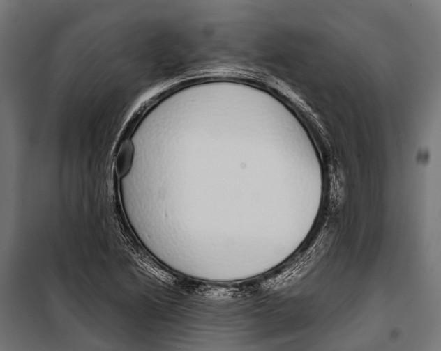 X0000099931222200806201049