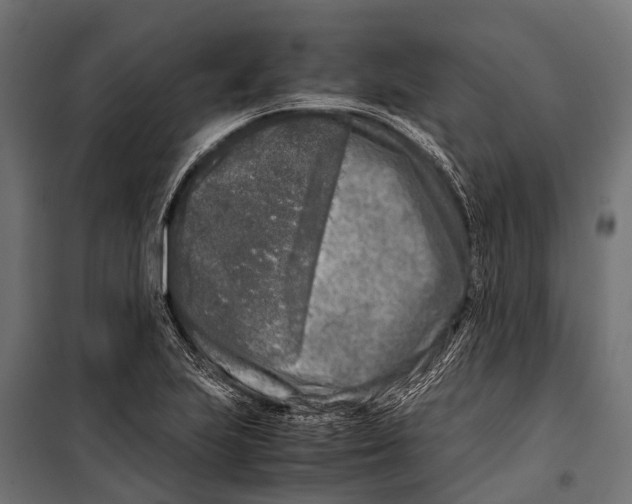 X0000099931223200806201049