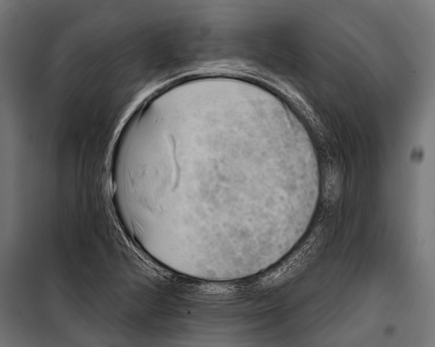 X0000099931224200806201049