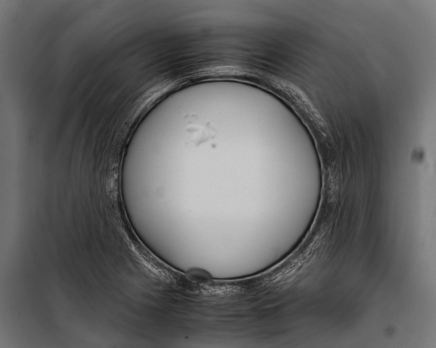 X0000099931225200806201049