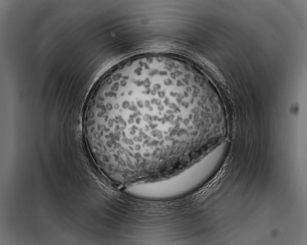 X0000099931226200806201049