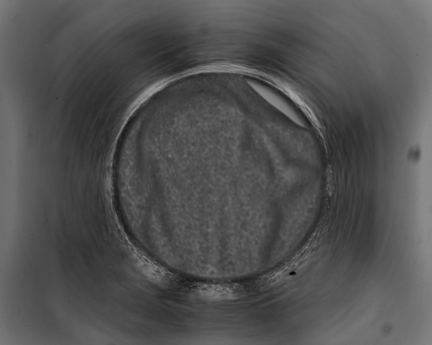 X0000099931229200806201049