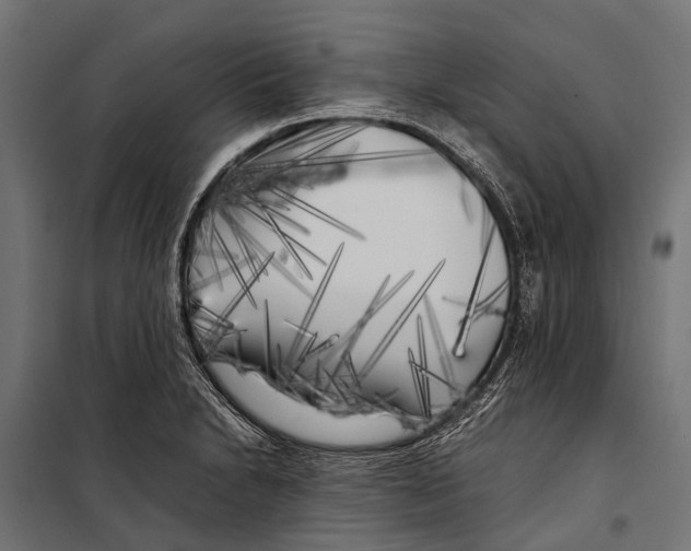 X0000099931230200806201049