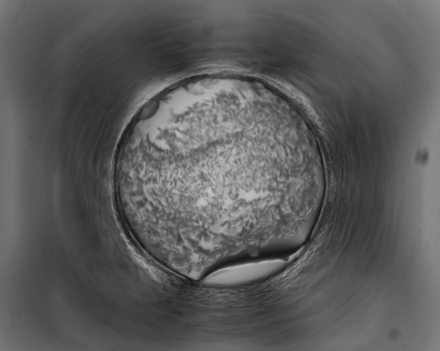 X0000099931231200806201049