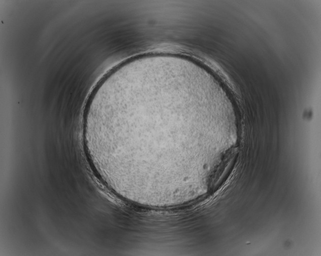 X0000099931232200806201049