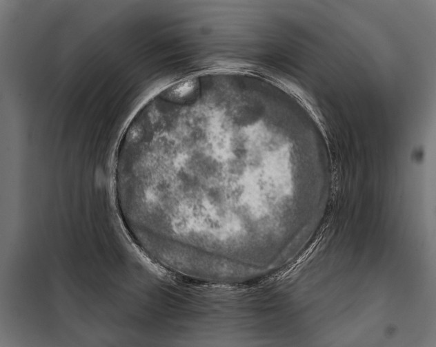 X0000099931235200806201049