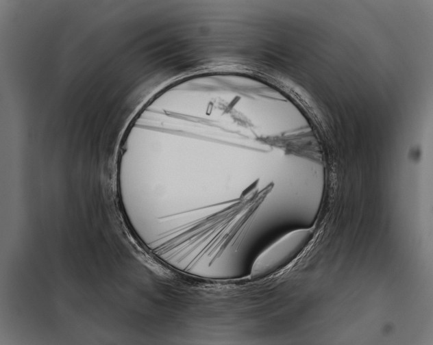 X0000099931236200806201049