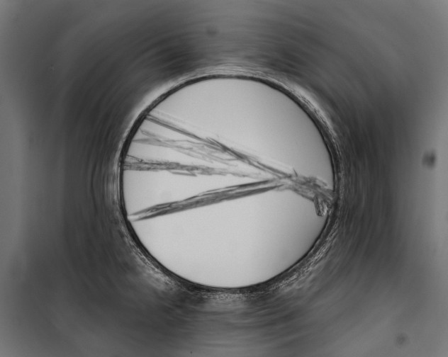 X0000099931238200806201049