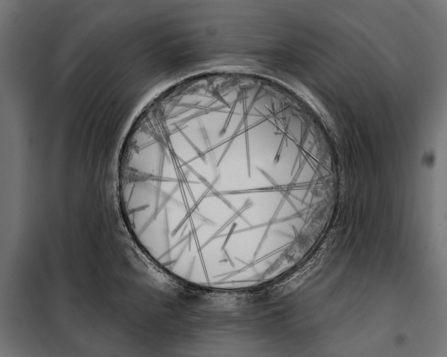 X0000099931240200806201049