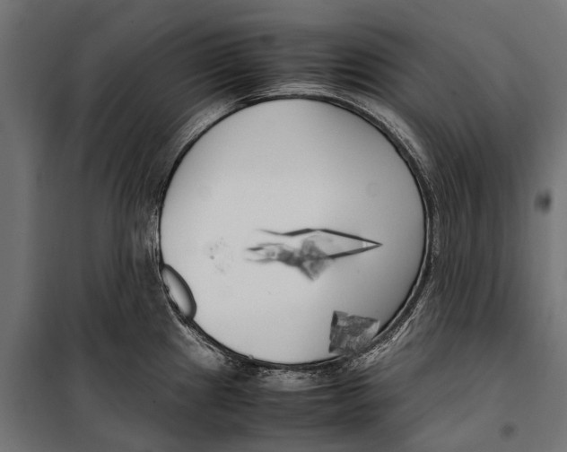 X0000099931241200806201049