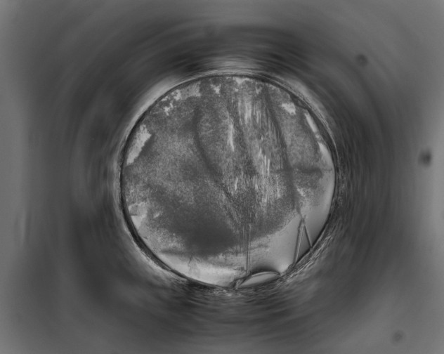 X0000099931243200806201049